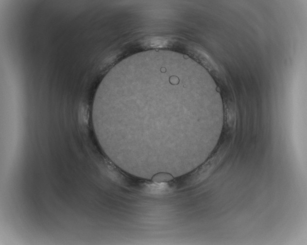 X0000111020374200907310936