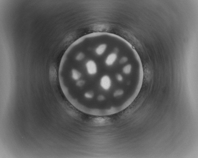 X0000111020375200907310936