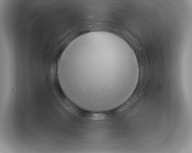 X0000111020376200907310936