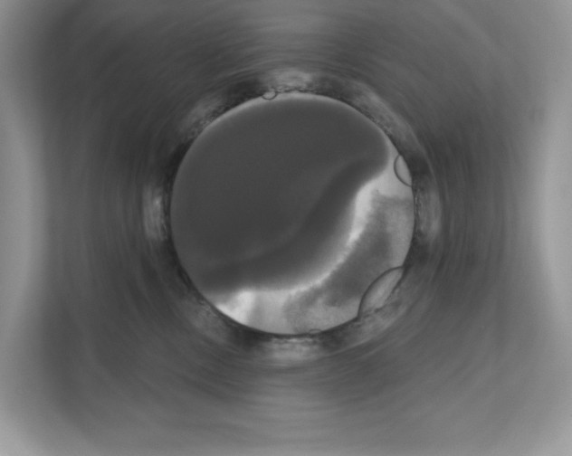 X0000111020378200907310936