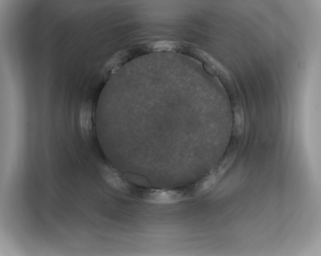 X0000111020379200907310936