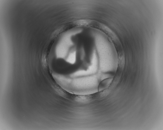 X0000111020381200907310936
