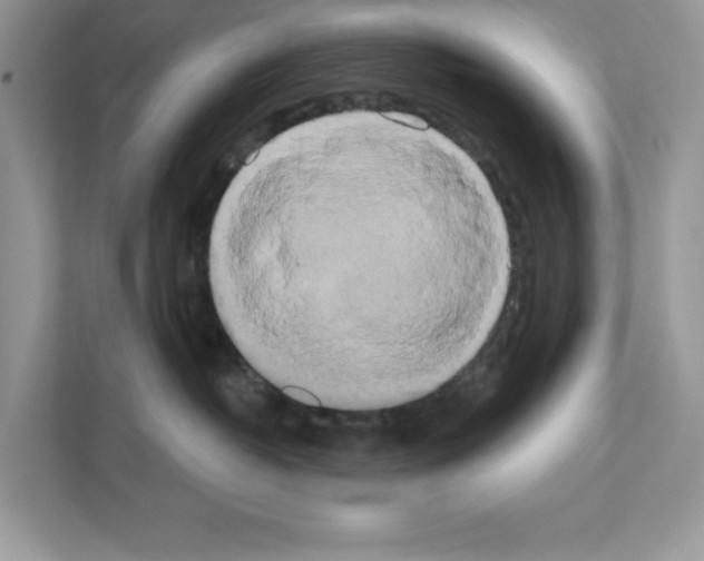 X0000111020382200907310937