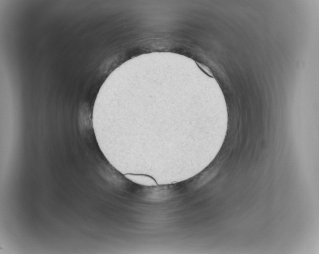 X0000111020384200907310937