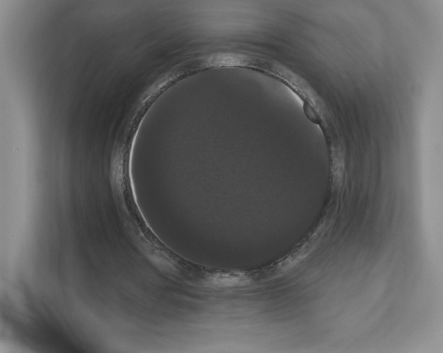 X0000111020386200907310936