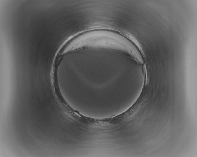 X0000111020387200907310936