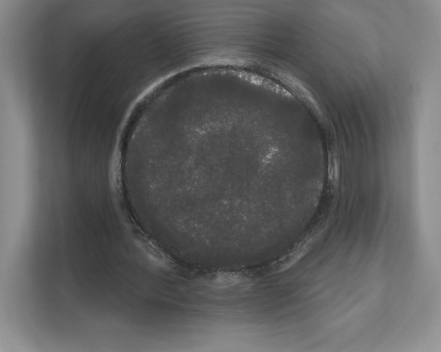 X0000111020388200907310936