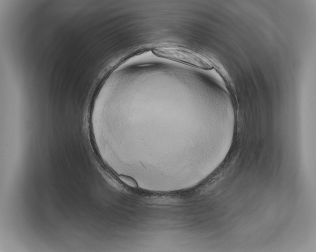 X0000111020389200907310936