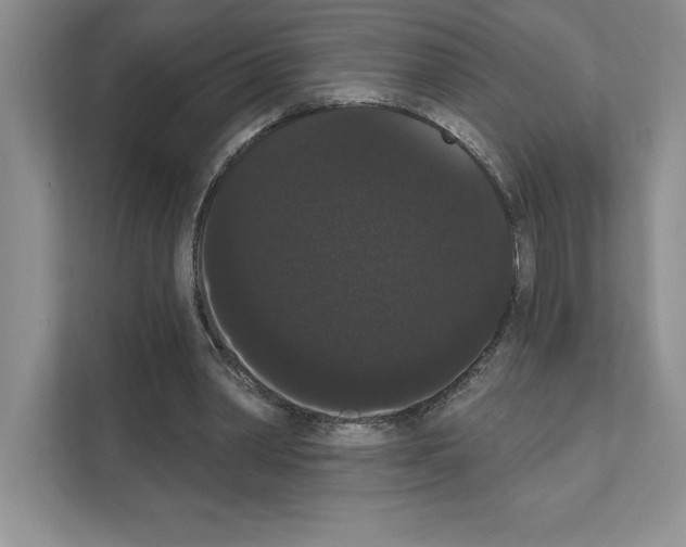 X0000111020390200907310936