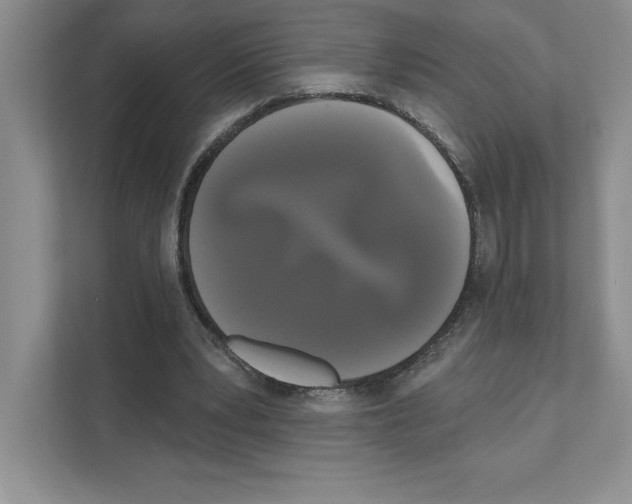 X0000111020391200907310936
