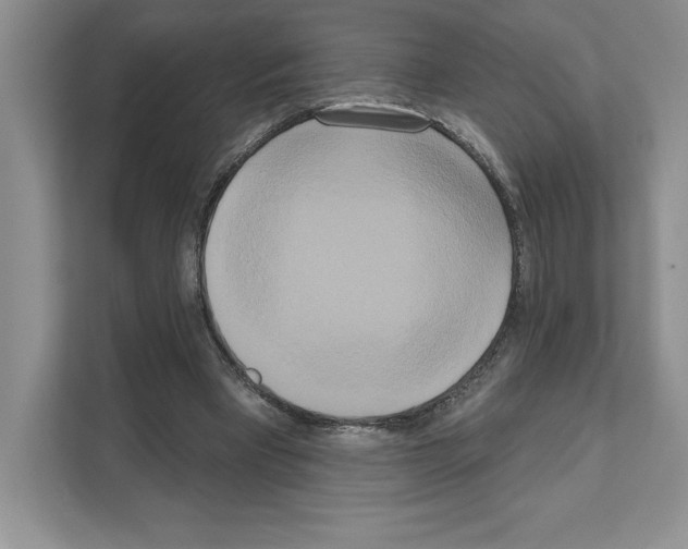 X0000111020393200907310936