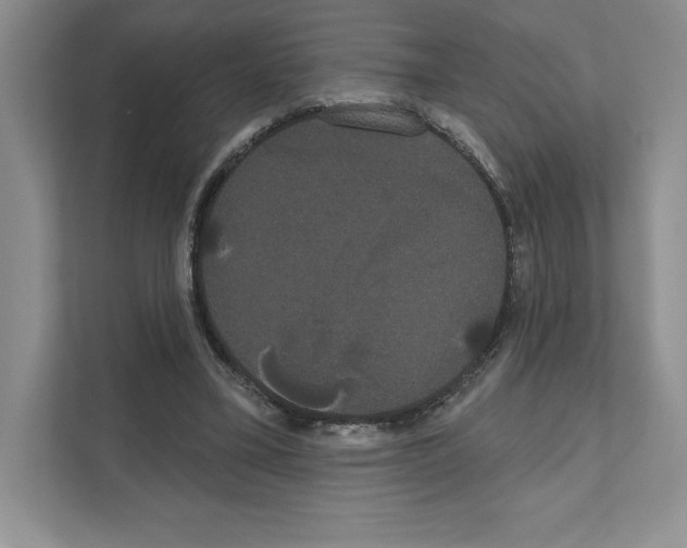 X0000111020395200907310936