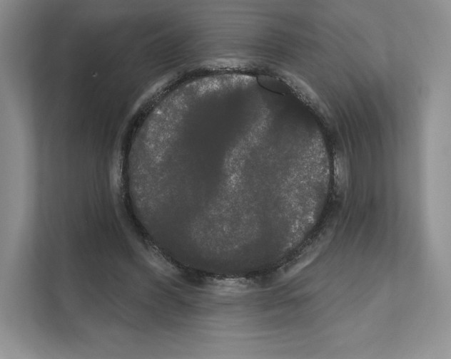 X0000111020396200907310936