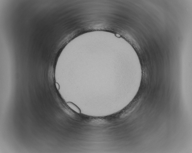 X0000111020397200907310936
