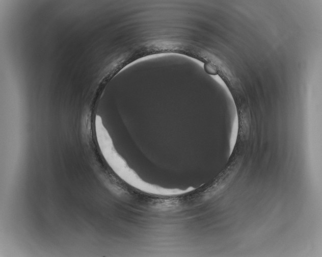 X0000111020398200907310936