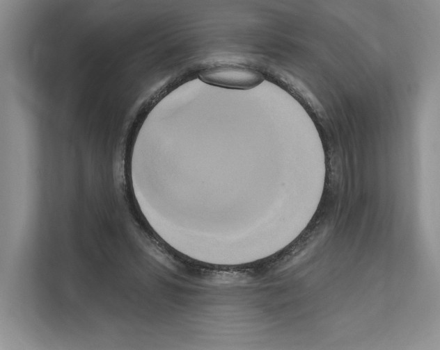 X0000111020399200907310936