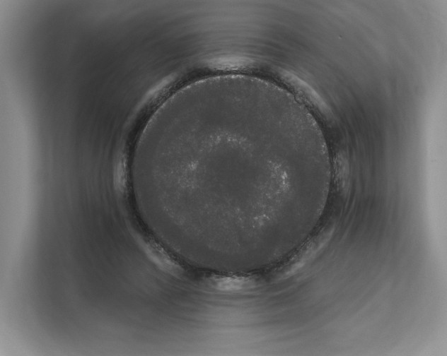 X0000111020400200907310936