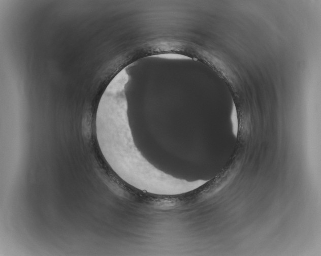 X0000111020402200907310936