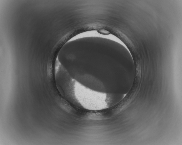 X0000111020403200907310936