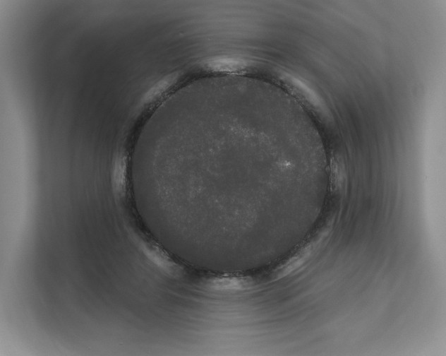 X0000111020404200907310936