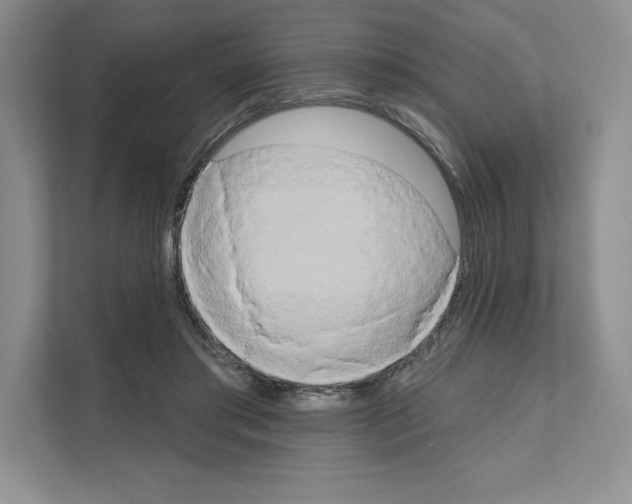 X0000111020405200907310936