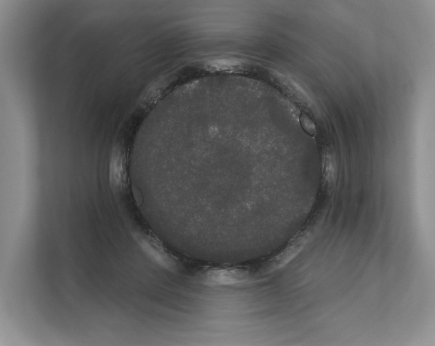 X0000111020408200907310936