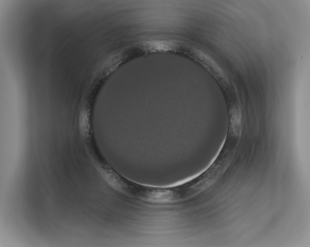 X0000111020410200907310936