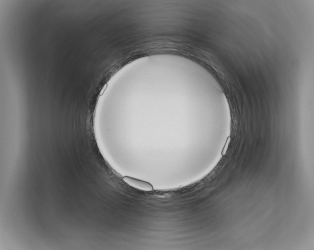 X0000111020411200907310936
