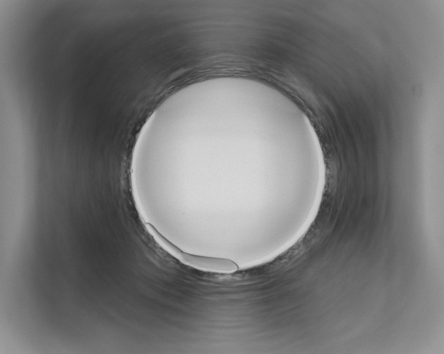 X0000111020413200907310936