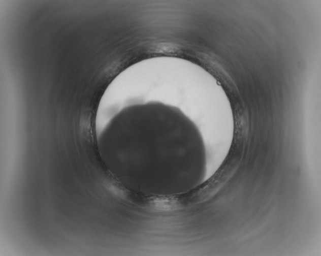 X0000111020415200907310936