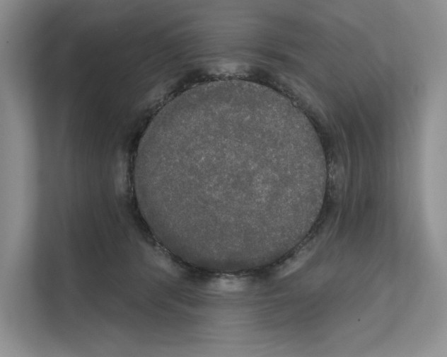 X0000111020416200907310936