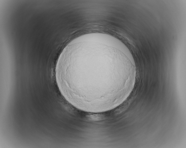 X0000111020417200907310935
