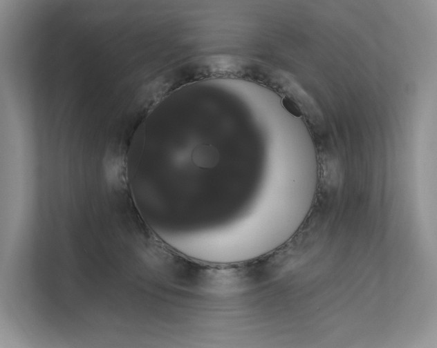 X0000111020419200907310935