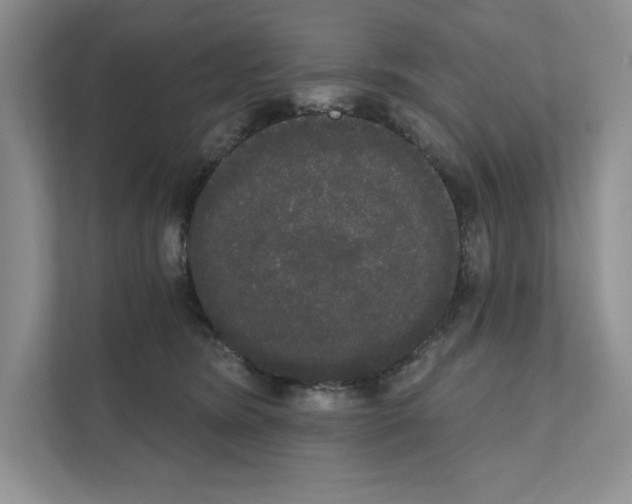 X0000111020420200907310935