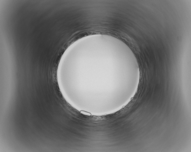X0000111020421200907310935