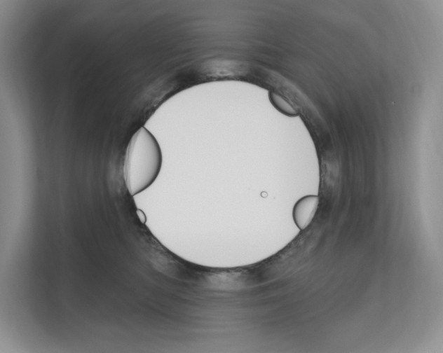 X0000111020422200907310935