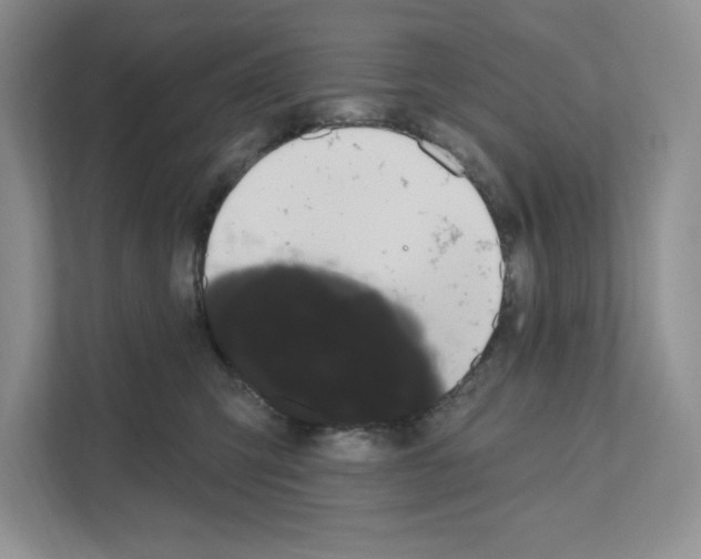 X0000111020423200907310935