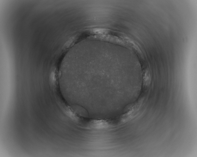 X0000111020424200907310935