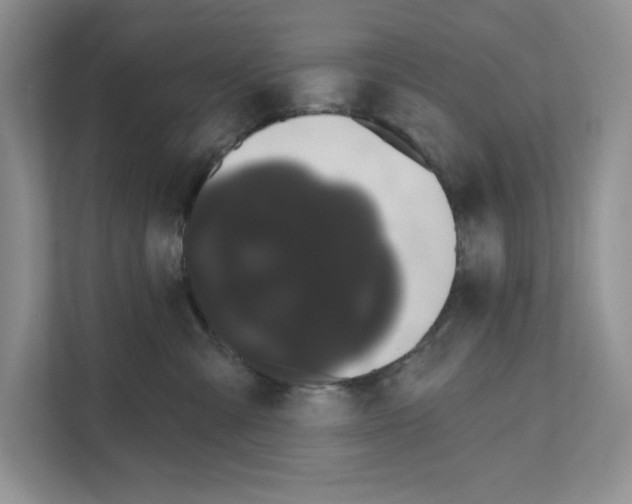 X0000111020427200907310935