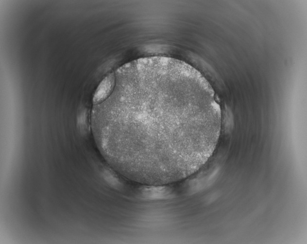 X0000111020428200907310935