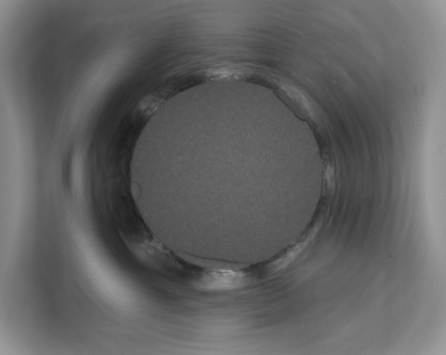 X0000111020429200907310935