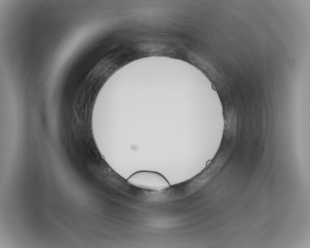 X0000111020430200907310935