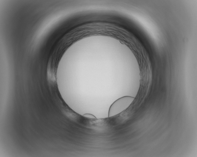 X0000111020431200907310935