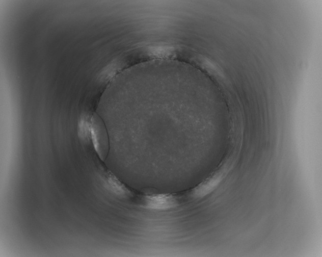 X0000111020432200907310935