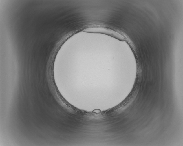 X0000111020433200907310935