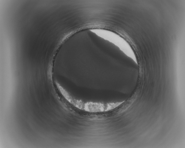 X0000111020434200907310935