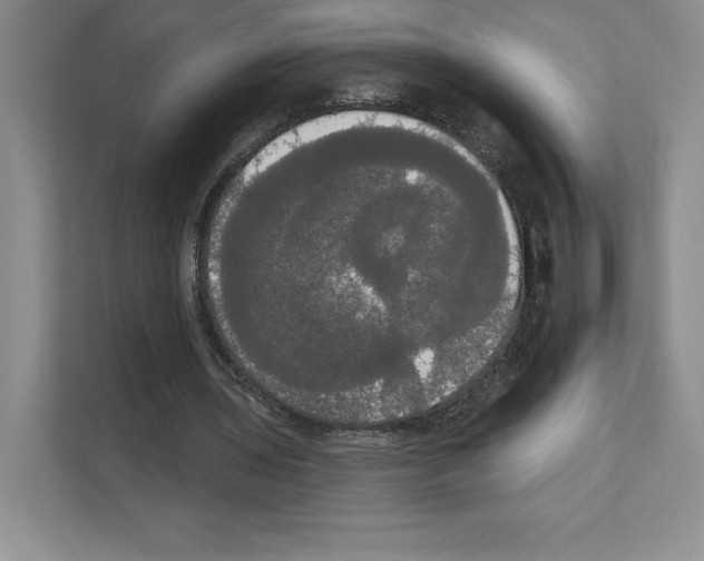 X0000111020435200907310935