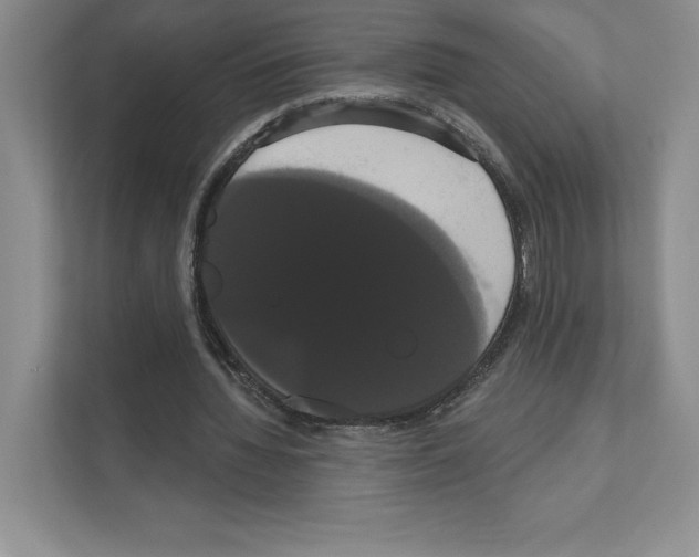 X0000111020436200907310935