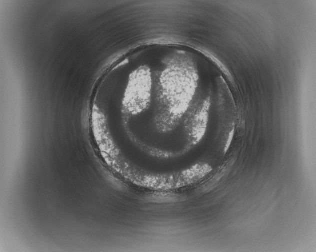 X0000111020437200907310935