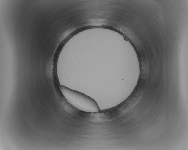 X0000111020440200907310935